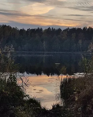 Закатное озеро на красном фоне, закат солнца, На озере, Закат солнца фон  картинки и Фото для бесплатной загрузки