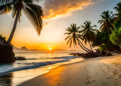красивый закат на песчаном пляже с пальмами, закат солнца, пляж, океан фон  картинки и Фото для бесплатной загрузки