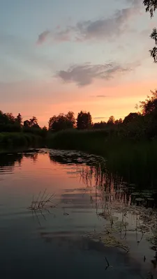 Закат на реке Луга / фото