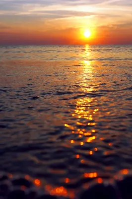 Закат солнца на море. — Фото №1304452
