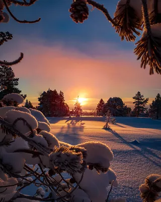 Универсальный свиток Закат солнца зимой А4