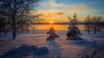 ₴ Купить репродукцию пейзаж известного художника | Закат солнца зимой |  художник Клевер Юлий