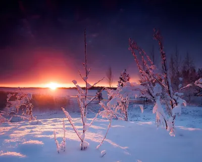 Рисунок Закат солнца зимой №17863 - «Зимняя сказка» (02.01.2024 - 08:26)