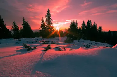 Описание картины \"Закат солнца зимой\" Юлия Клевера: фото, анализ, жанр,  характеристика, краткая история создания и место хранения