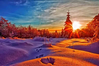 Купить картину Закат солнца в Москве от художника Баранов Рудольф