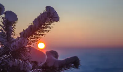 Красивая Зима Заход Солнца - Бесплатное фото на Pixabay - Pixabay