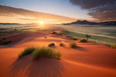 Закат в пустыне на фоне горы | Премиум Фото