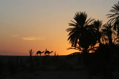 Розовый закат в пустыне. Фотограф Иван Губанов