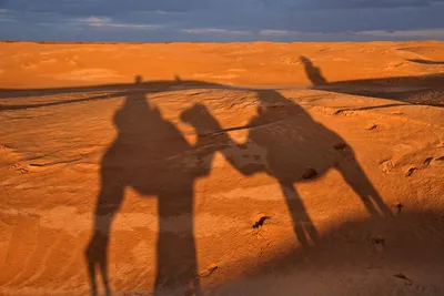 Закат в пустыне — Горлова Евгения