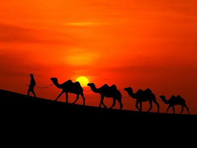 Закат в пустыне / Северная Африка