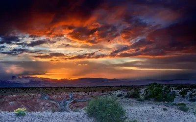 Волшебный закат в пустыне стоковое изображение. изображение насчитывающей  изумлять - 158592415