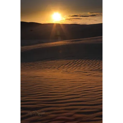 Закат в пустыне | Пикабу