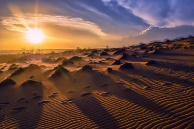 Закат в пустыне :: Владимир Горубин – Социальная сеть ФотоКто