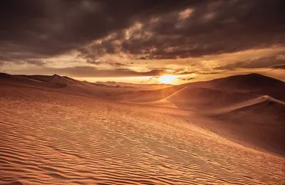 Visit Dubai - Посетите Дубай - Живописный закат солнца в пустыне – одно из  впечатлений, за которым хочется вернуться в Дубай. Мы готовы и ждем вас.  [Фото IG: seantalag] #ПосетитеДубай #МойДубай #ПустыняДубай #Дубай |  Facebook