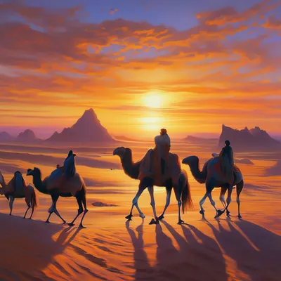 Красивый закат в пустыне — Фото №1320034