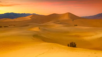 Рассвет в пустыне (66 фото) - 66 фото