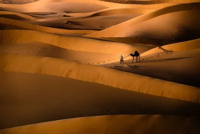 Закат в пустыне | Хургада (Красное Море) | Фотопланета