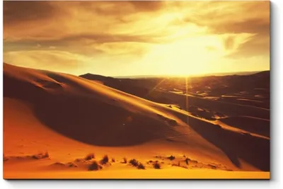 Закат В Пустыне — стоковые фотографии и другие картинки Пустыня - Пустыня,  Кактус, Без людей - iStock
