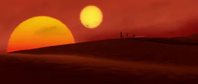 закат в пустыне стоковое фото. изображение насчитывающей пустыня - 223869536