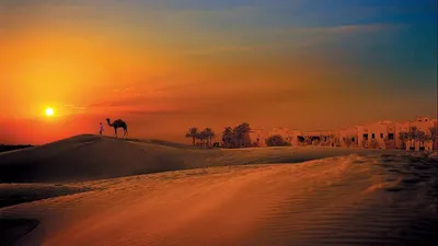 Закат в пустыне — Фото №73934