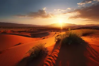 Закат в пустыне — Фото №1345333
