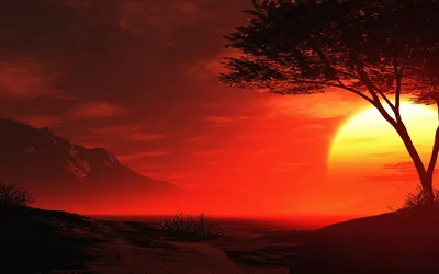 Закат солнца в африке (41 фото) - 41 фото