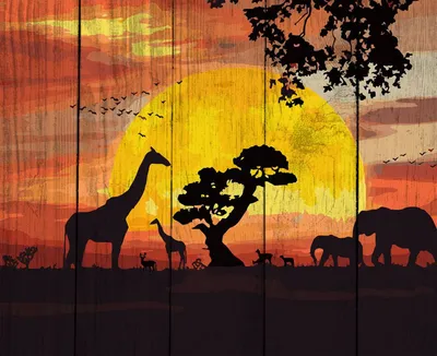 Одинокое дерево в саванне на фоне потрясающего заката. классический  африканский закат. западная африка. | Премиум Фото