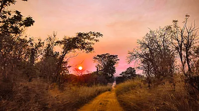 Картинки вечер, саванна, пейзаж, кения, Африка, закат, дерево - обои  1680x1050, картинка №15993