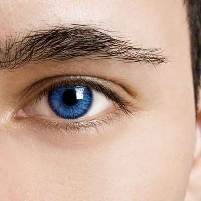 Как делать массаж глаз для улучшения зрения? «Ochkov.net»