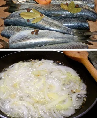 ЗАЛИВНАЯ🐟 РЫБА - ВКУСНЫЙ рецепт в томатном соусе. Рыба в томате с морковью  и луком. - YouTube