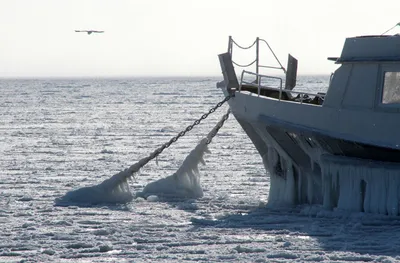 Черное море впервые за 30 лет покрылось льдом