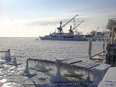 Замерзает ли Черное море? | Очаковский портал