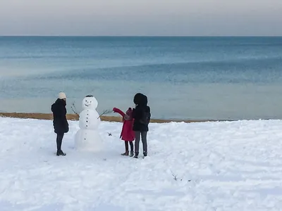 Черное море замерзло впервые за 30 лет (+ФОТО) » Новости Харькова |  news.kh.ua