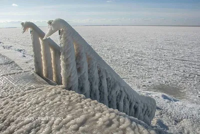 Замерзло Черное море