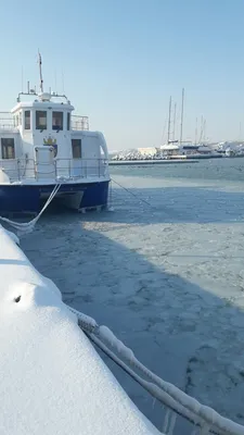 Черное море... замерзло! - ЯПлакалъ