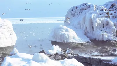 Черное море... замерзло! - ЯПлакалъ