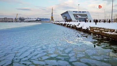 Замерзает ли Черное море? Тайны Черного моря – О, Море.Сity