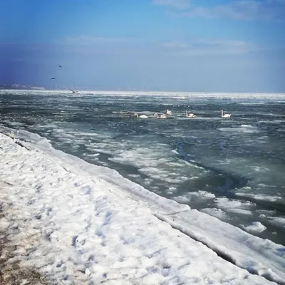 Черное море впервые за 30 лет покрылось льдом