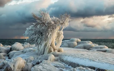 Замерзшее море в Одессе 2014 / Odessa Sea Frozen - YouTube