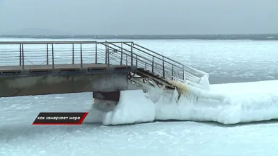 Черное море покрывается льдом возле Болгарии: впечатляющие фото - 24 Канал