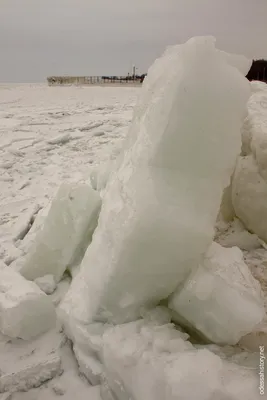 Замерзает ли Чёрное море? | Взгляд из-за угла | Дзен