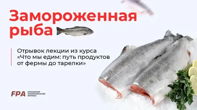 salmonfresh.ru - Выбор каждого вида лосося имеет свои особенности. По  определенным критериям оценивается живая или замороженная рыба. Наш лосось  Чили обладает только лучшими качествами, такими яркий цвет, правильная  плотность мяса, ровная чешуя.