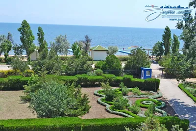 Отдых в Крыму под Евпаторией на море | Гостевой дом Александрия, Заозерное