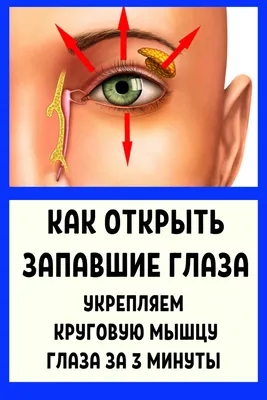 Коррекция носослезной борозды филлерами: цены в Москве | Удаление  носослезной борозды в клинике BeautyWay Clinic