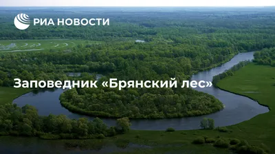 Заповедник Брянский лес - Красная книга России.