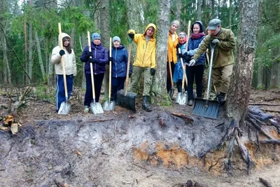 В брянском заповеднике встретили редкую птицу - KP.RU