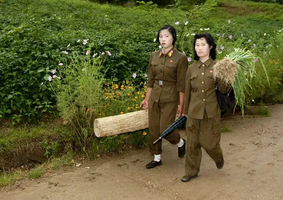 Обычные вещи, запрещённые в Северной Корее. Часть 1 | Путешествия, туризм,  наука | Дзен