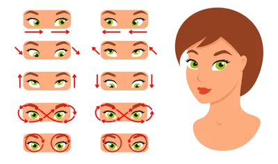 Гимнастика для глаз: как улучшить зрение | Дом Оптики