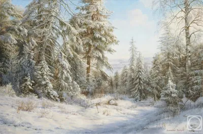вид на заснеженный зимний лес Стоковое Изображение - изображение  насчитывающей красивейшее, холодно: 227559279