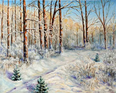 лес зима снег заснеженный лес зимний лес густой лес деревья в снегу  прогулка по лесу закат в лесу фото в лесу идеи для фото прог… | Фото  дерево, Красивые места, Лес